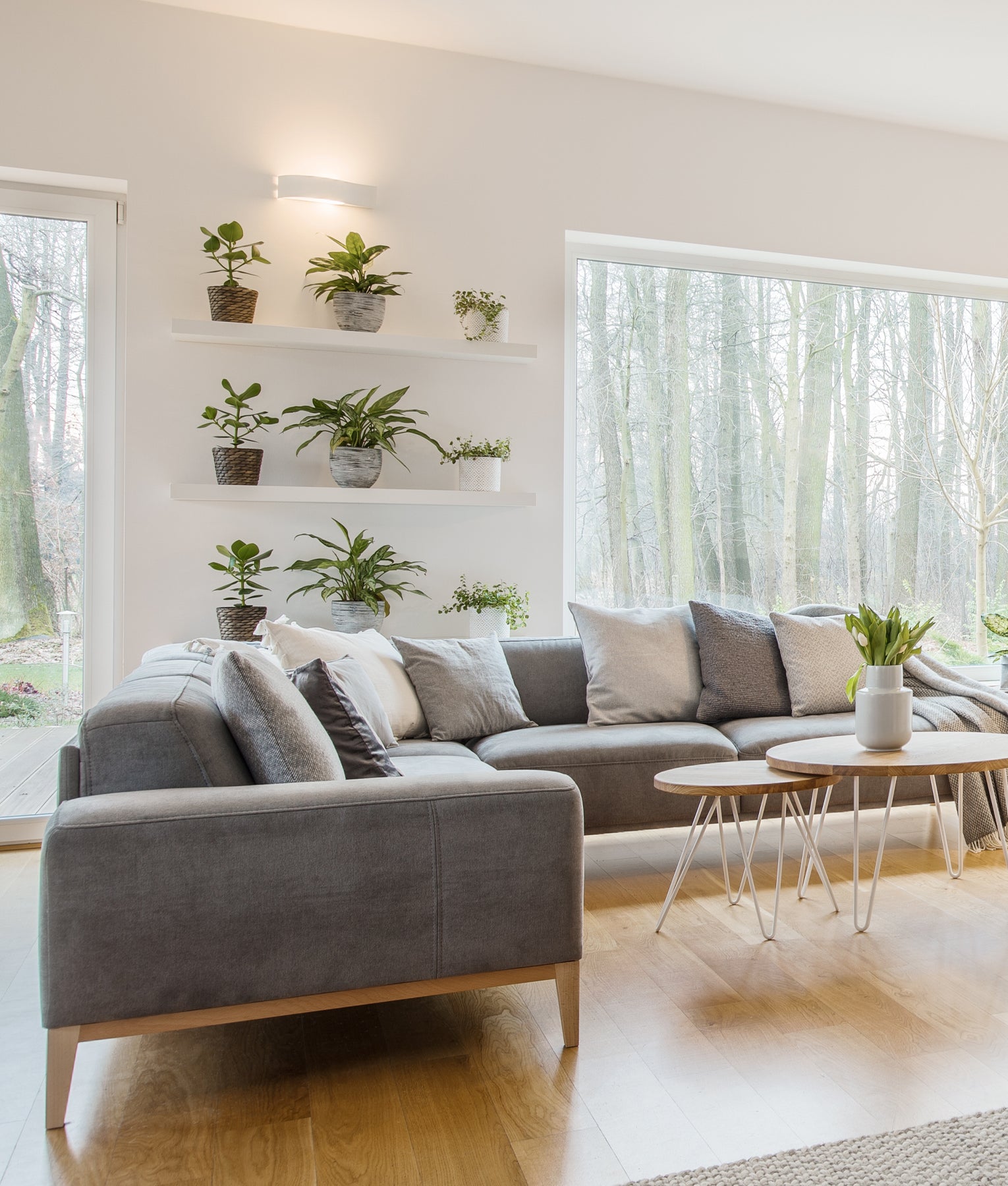 Interior LED Tri-CCT Curved Up/Down Dimmable Wall Light