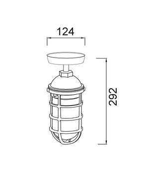 Exterior Cylinder Aluminium & Glass with Cage Ceiling / Wall Lights IP44