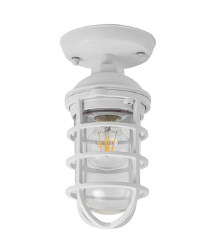 Exterior Cylinder Aluminium & Glass with Cage Ceiling / Wall Lights IP44