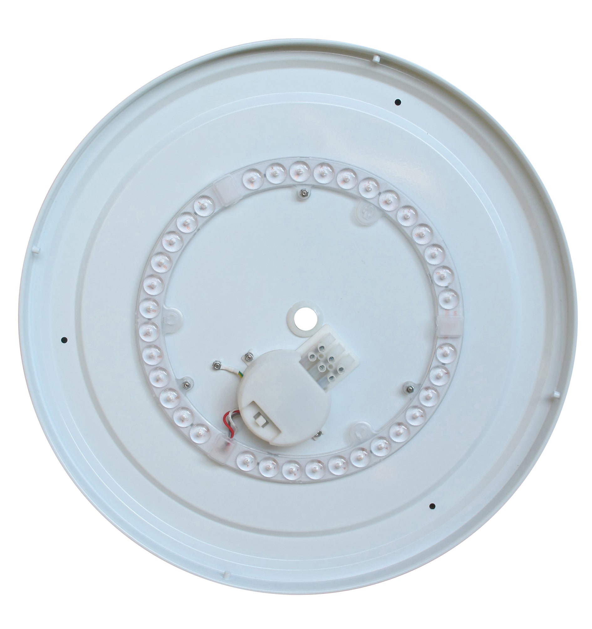 OYSDIM005 Inside.jpg