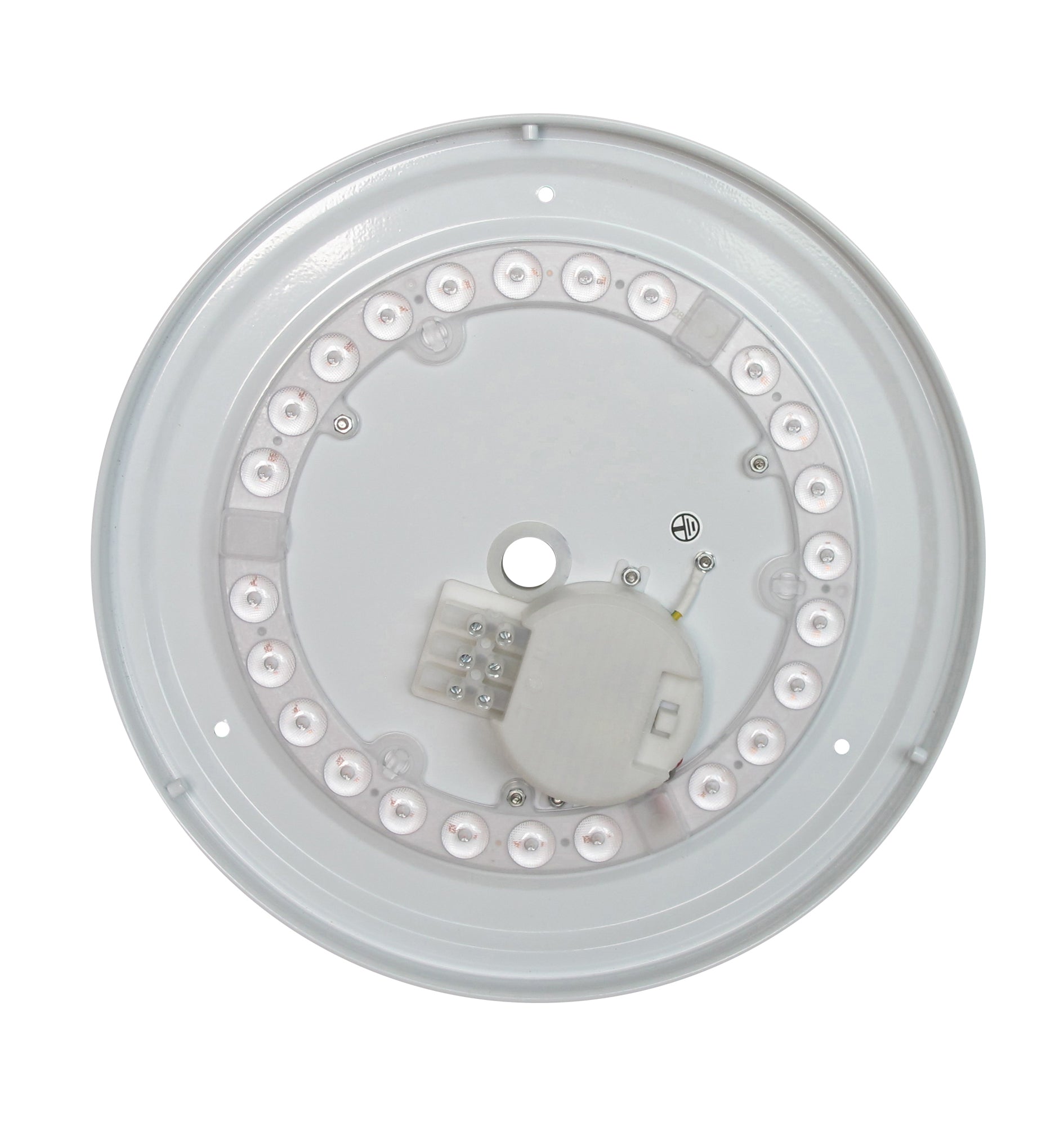 OYSDIM003 Inside.jpg