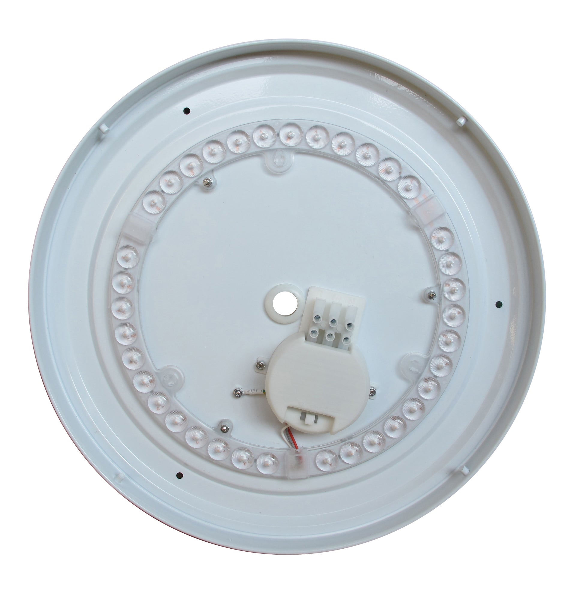 OYSDIM004 Inside.jpg