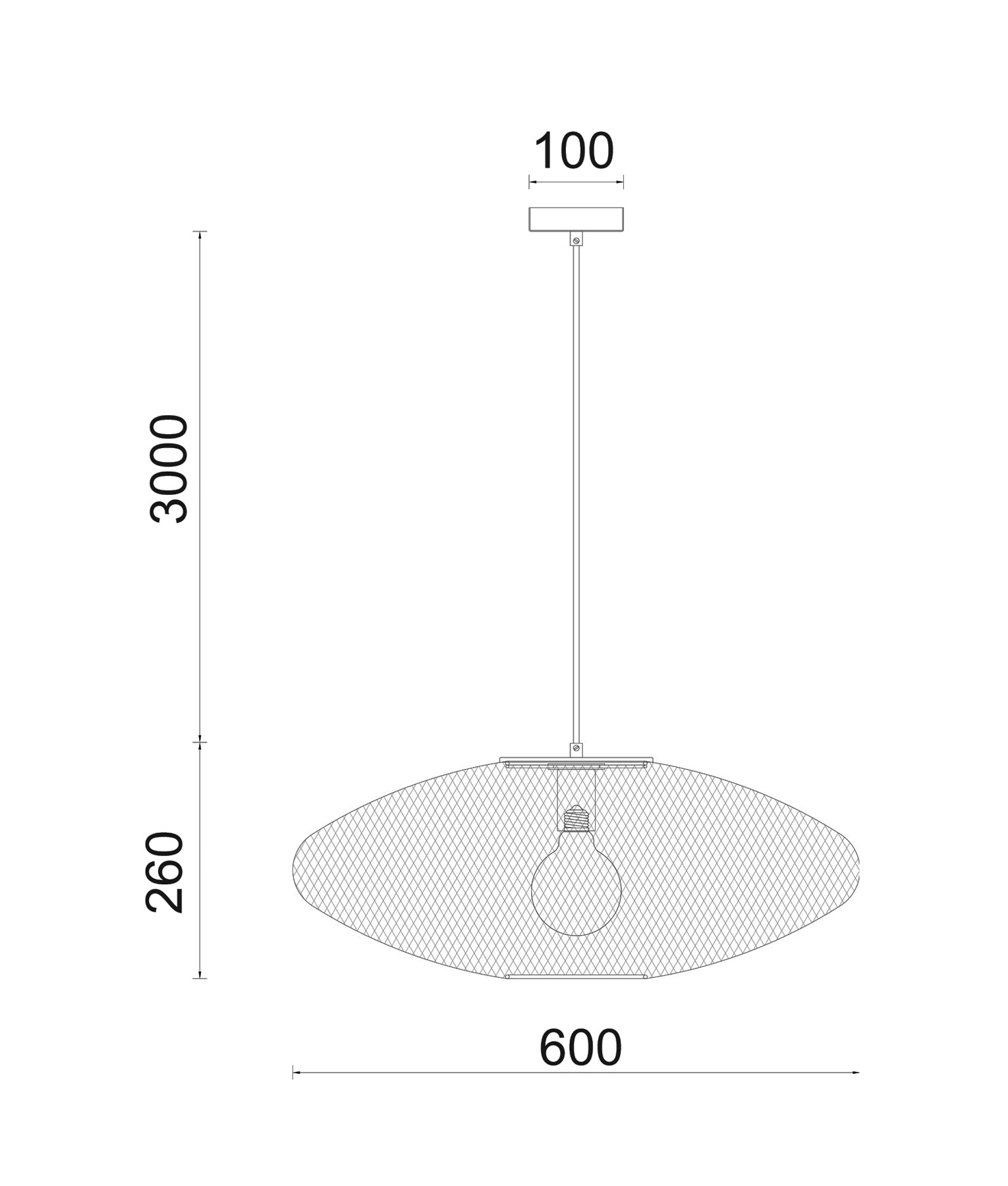 Modern Interior Oval Stainless Steel Pendant Lights (Large)